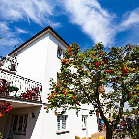 Czarmorza Goscinne * 미엘노