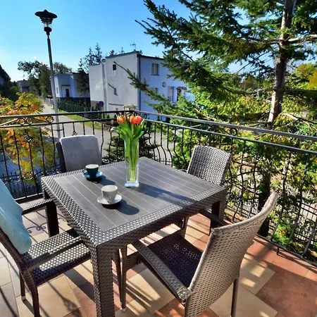 Czarmorza Goscinne *