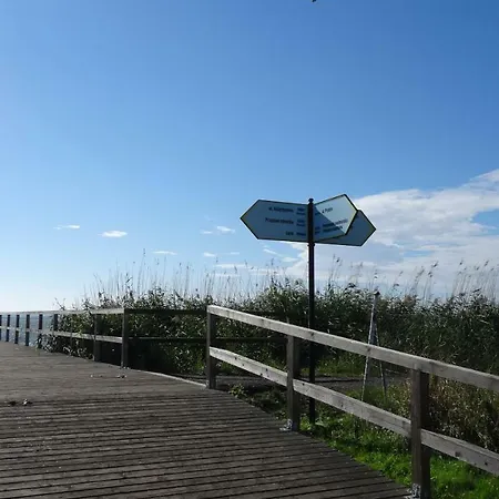 Czarmorza Goscinne * ミエルノ