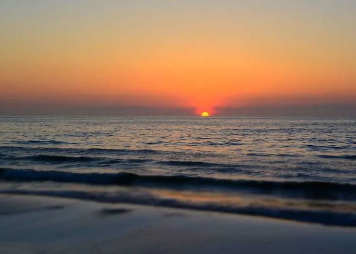 홈스테이 Czarmorza Goscinne 미엘노