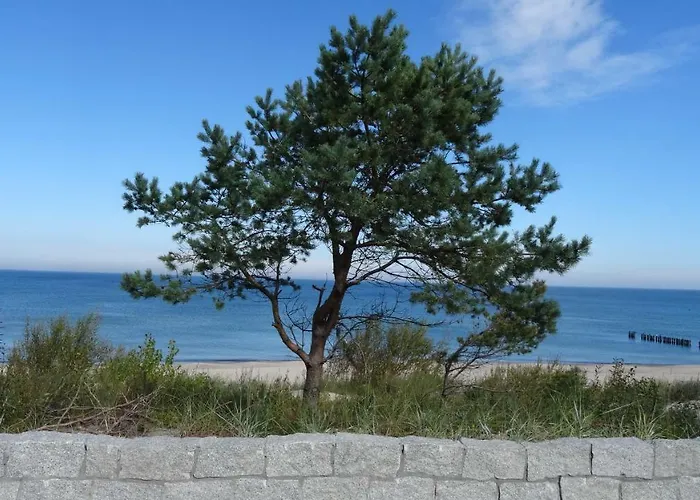 Czarmorza Goscinne * 미엘노