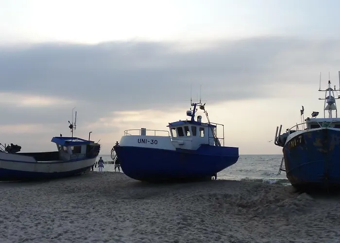 Czarmorza Goscinne * 미엘노