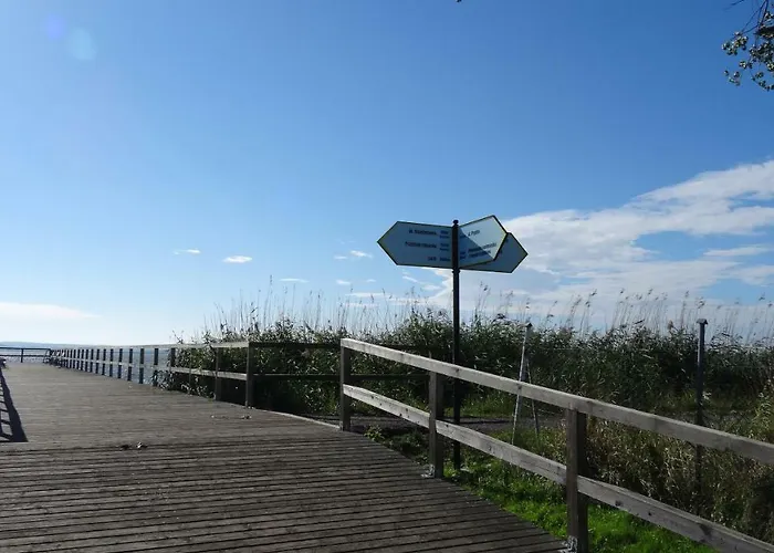 Czarmorza Goscinne * 미엘노